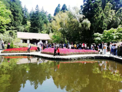 小長假前三天，廬山游客接待量創(chuàng)今年新高，景區(qū)管理舉措成效顯著