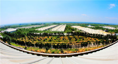 謀定后動譜華章，氣勢如虹唱大風(fēng) 論新時代景區(qū)管理的智慧與氣魄